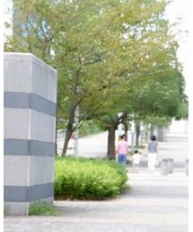 no brand | ベルト