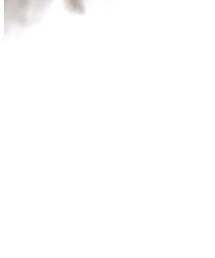 KAPITAL | ポロシャツ