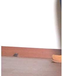 G.H. Bass & Co. | シューズ