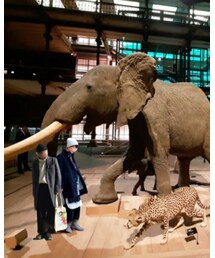 yuunagiさんと ゾウの剥製🐘の鼻によりかかって ひと休み | 手帳/メモ帳