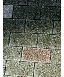 GOLDEN GOOSE | スニーカー