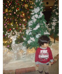 スウェット(Tシャツ/カットソー)