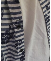 LACOSTE | Tシャツ/カットソー