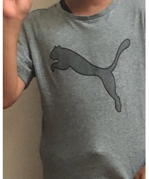 PUMA | Tシャツ/カットソー