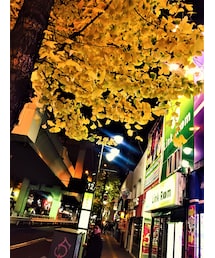 まだ紅葉がある🙊✨🌳🌿🌲🍀🍃🐥🐣👏🍀✨ | 三茶～🙊✌️️👍🍺🍻✨🎵(その他)
