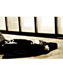 😴😴😴😴 | 🙊🕺📸✌️🎵✨🕺🎵📸(その他)