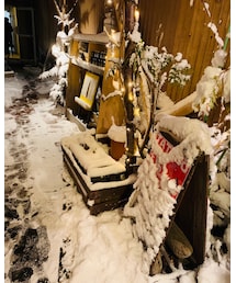 昨日☃️❄️ | その他