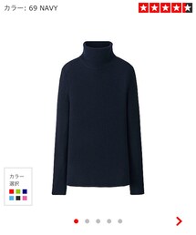 UNIQLO | エクストラファインメリノリブタートルセーター(ニット/セーター)