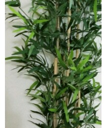 IKEA | インテリア