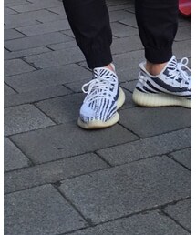 adidas | スニーカー
