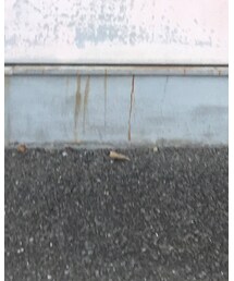 Avail | デニムパンツ