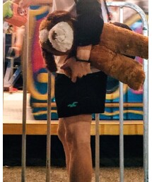 Hollister | ショーツ