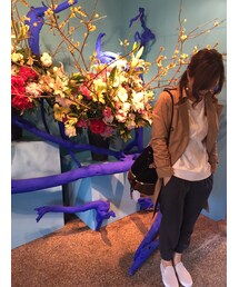 Vert Dense | トレンチコート
(トレンチコート)