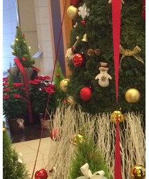 OSMOSIS | トレンチコート