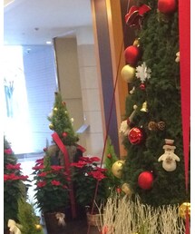 earth music&ecology | Tシャツ/カットソー