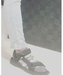 Lee | ソックス/靴下