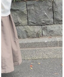 Te chichi | スカート