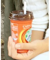 Mt.Rainier | その他