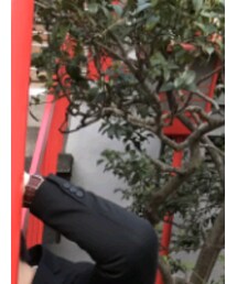 UNIQLO | ジャケット/アウター