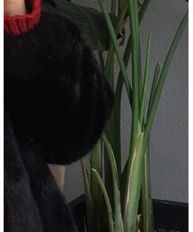 ZARA | ノーカラージャケット