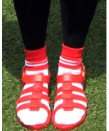 Tabio | ソックス/靴下