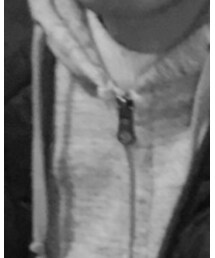 UNIQLO | ジャケット/アウター