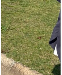 LOWRYS FARM | シャツ/ブラウス