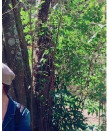 UNIQLO | キャップ