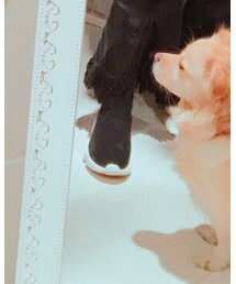 BELLE | ブーツ
