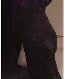 UNIQLO | スカート