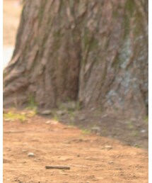 KAWI JAMELE | パンツ