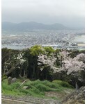 東郷公園の桜🌸 | (其他)