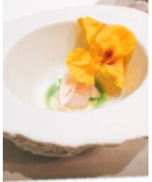 Hamachi Shots | その他