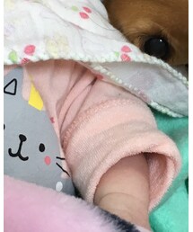 赤ちゃん本舗 | その他ベビー用品