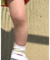 SHIPS | ソックス/靴下