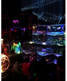 アートアクアリウム | その他