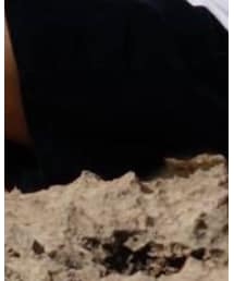 American Apparel | その他パンツ