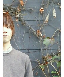 自然の落ち葉 | その他