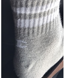 Champion | ソックス/靴下