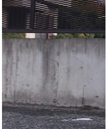 UNIQLO | シャツ/ブラウス