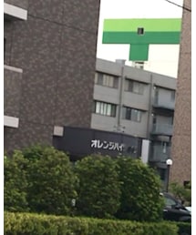 UNIQLO | サングラス