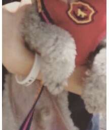 ｱｲｻﾞ | その他