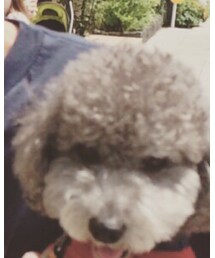 歩き疲れた | その他