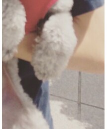 いやいやさん | その他