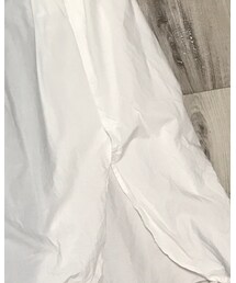 antiqua | シャツ/ブラウス