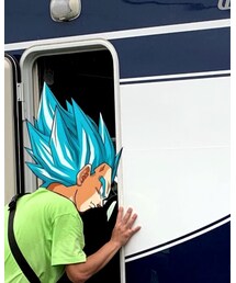 DRAGON BALL | ヘアアクセサリー