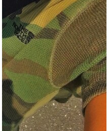 THE NORTH FACE | Tシャツ/カットソー