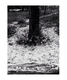 VINTAGE | アメリカの景色にとけ込めるスタイルがすき(バンダナ/スカーフ)