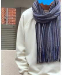 AMERICAN HOLIC | スウェット