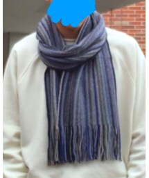 JOHNSTON | マフラー